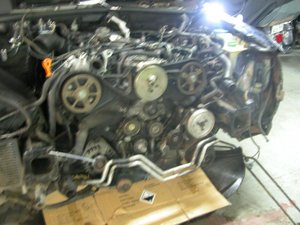 DSCN7048.jpg