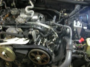 DSCN7049.jpg