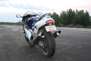 IMG_9288.jpg