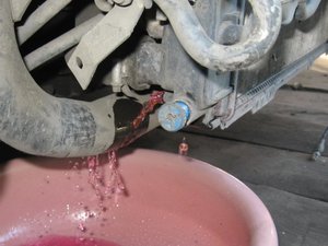 IMG0258.jpg