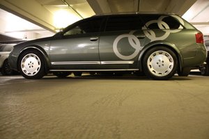 IMG_6913.jpg