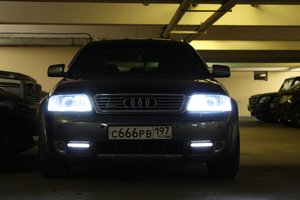 IMG_6937.jpg