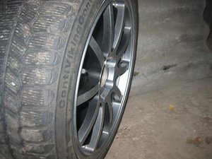 IMG_1361.jpg