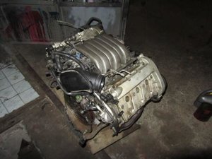IMG_3534.JPG