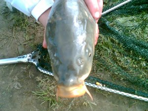 Image(184).jpg