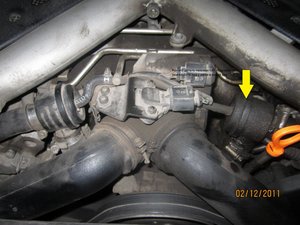 IMG_4295.jpg