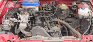 DSC019951.jpg