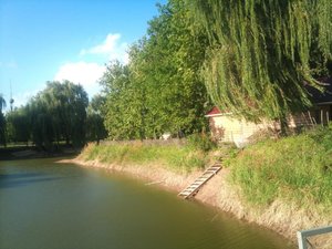 DSC_8703с.jpg
