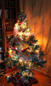 IMG_4778.jpg