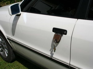 IMG_0952.jpg