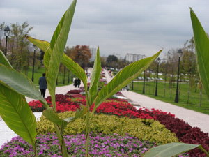 Caricyno01.10.2006 077.jpg