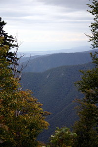 IMG_2192.1.jpg