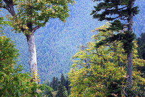 IMG_2209.1.jpg