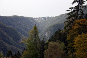 IMG_2224.1.jpg