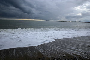 IMG_2694.1.jpg