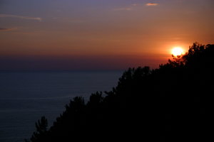IMG_1381.1.jpg