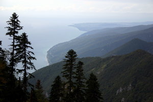 IMG_2240.1.jpg