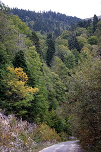 IMG_2259.1.jpg