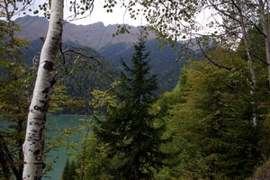 IMG_1683.1.jpg