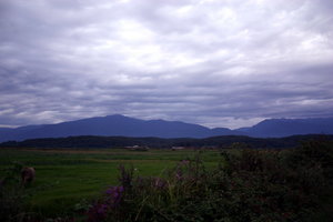 IMG_2402.1.jpg