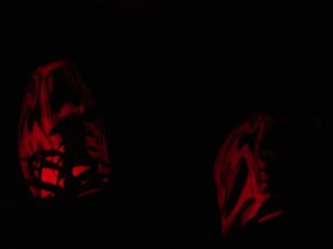 DSC00509.jpg