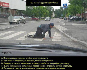 pdd_bobrujsk.jpg