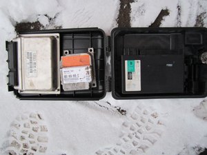 IMG_1150.jpg