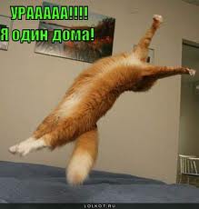 один дома.jpg