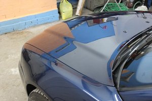 IMG_1385.jpg