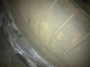 IMG_1198.jpg