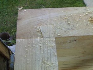 20050395.jpg