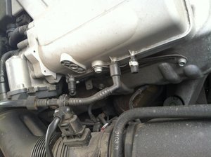 IMG_0021.jpg