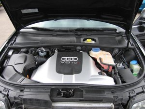 IMG_3303.jpg