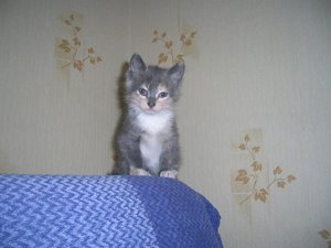 DSCN4636.jpg