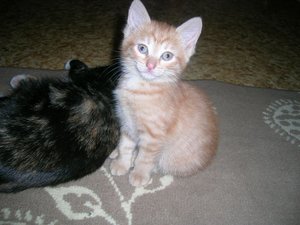 DSCN4639.jpg
