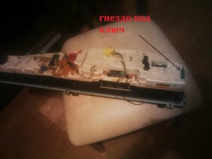 IMAG0530.jpg