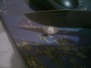 IMAG0547.jpg