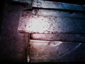 IMAG0576.jpg