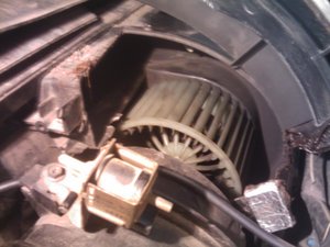 IMAG0580.jpg