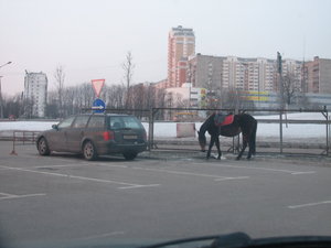 foto_001_resize.jpg