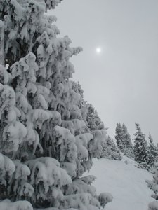 DSC03152.jpg