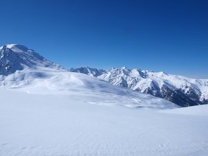 P2255950.jpg