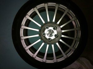 IMG_0466.jpg
