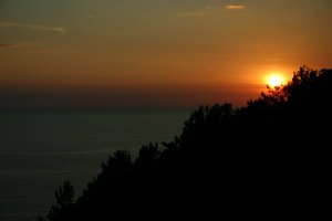 IMG_1381.jpg
