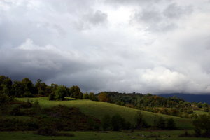 IMG_1171.1.jpg