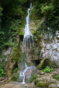 IMG_1632.1.jpg