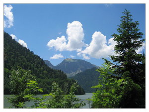 IMG_1011.jpg