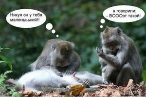 humor_from_lifeinet-1164199793_i_1765.jpg