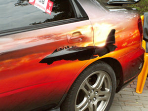 PICT0006.jpg