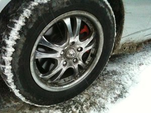 IMG_0391.jpg